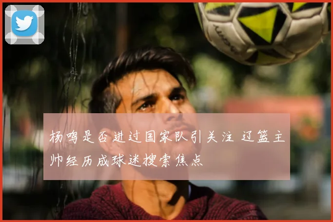 杨鸣是否进过国家队引关注 辽篮主帅经历成球迷搜索焦点