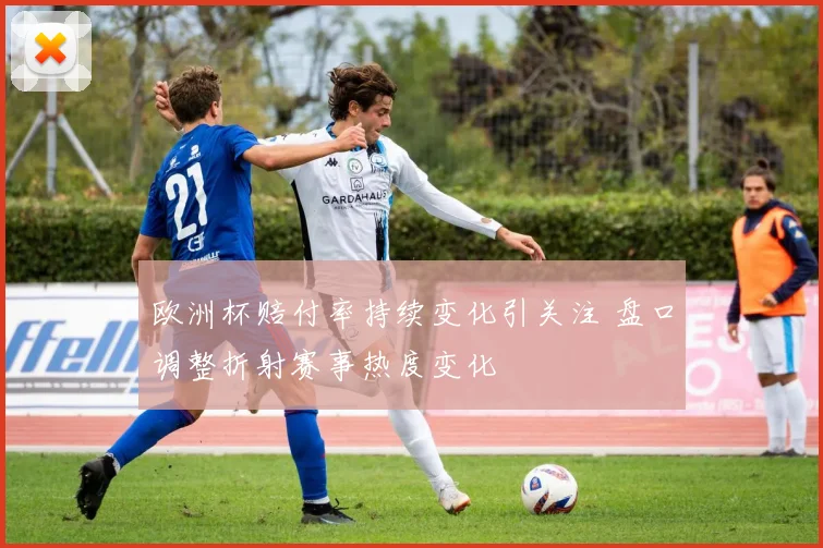 欧洲杯赔付率持续变化引关注 盘口调整折射赛事热度变化